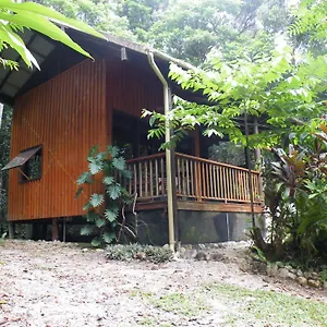 3* Couette-café Epiphyte